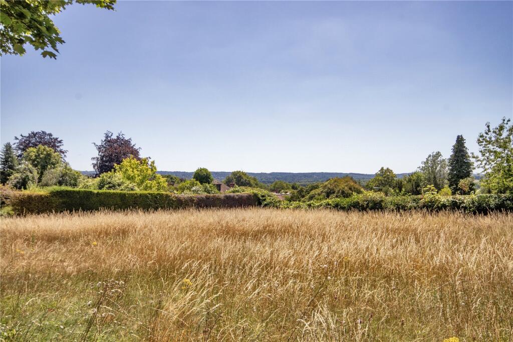 Meadow