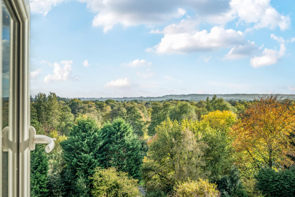 1373662-6-6900d18...