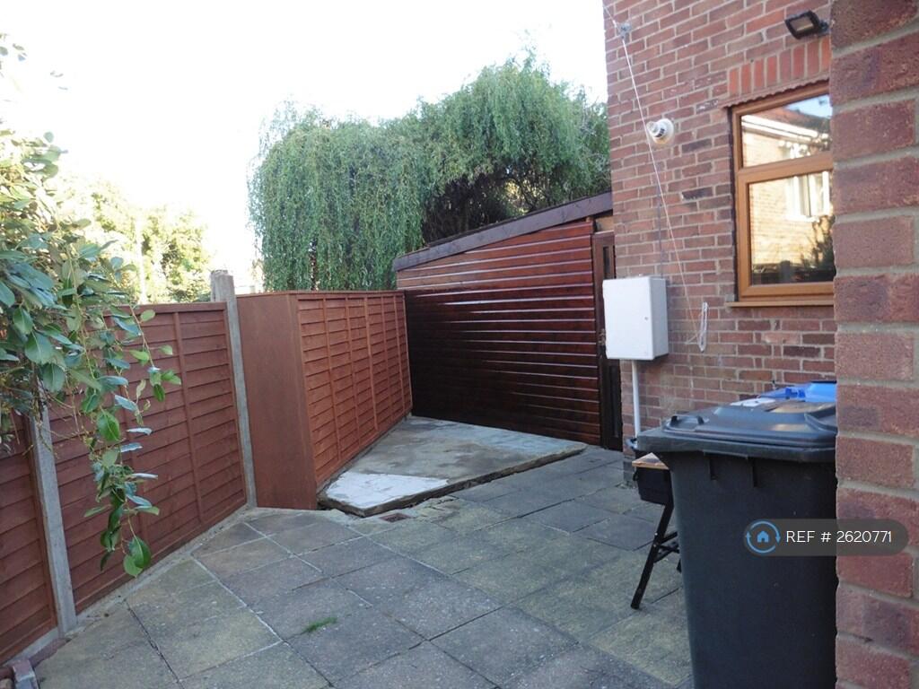 Back Garden