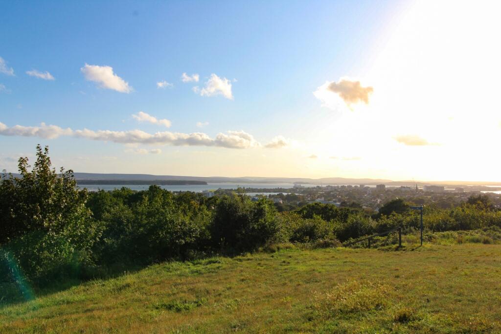 View Point