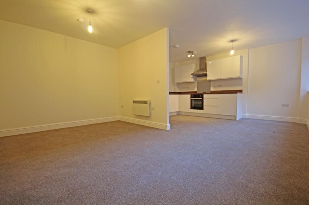 Open Plan Kitchen Living and Bedroom