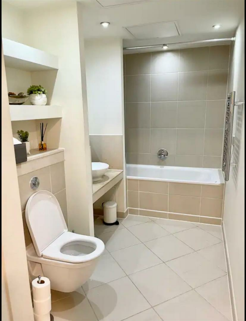 toilet 2.png