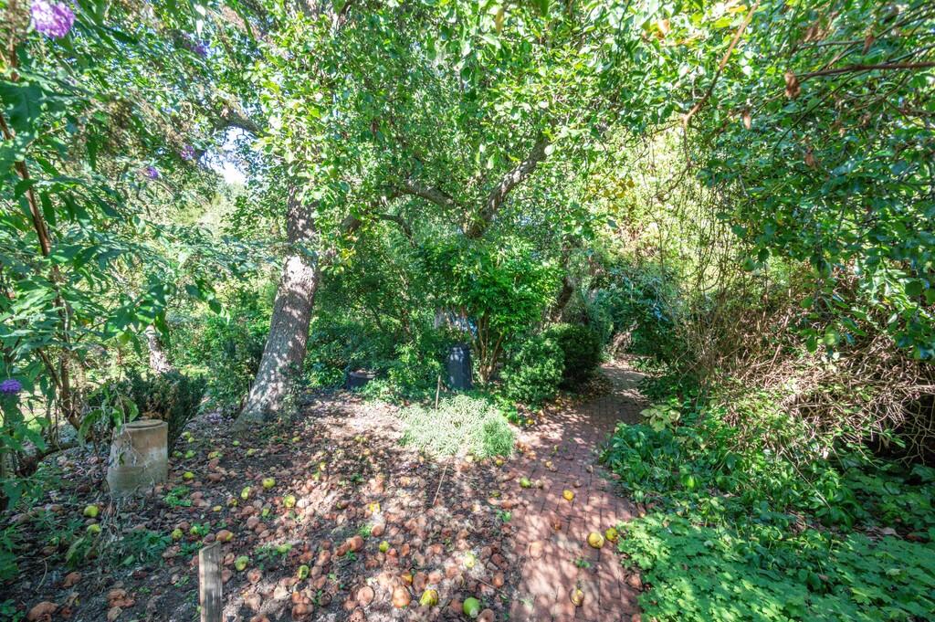 11 Chapel Street-...