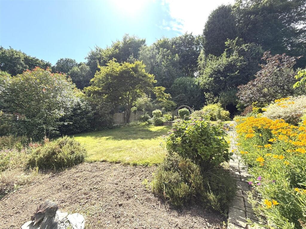 6 the pingle rear.jpeg