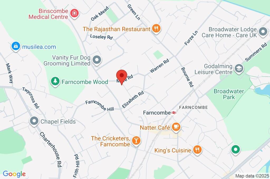 Google Maps Image