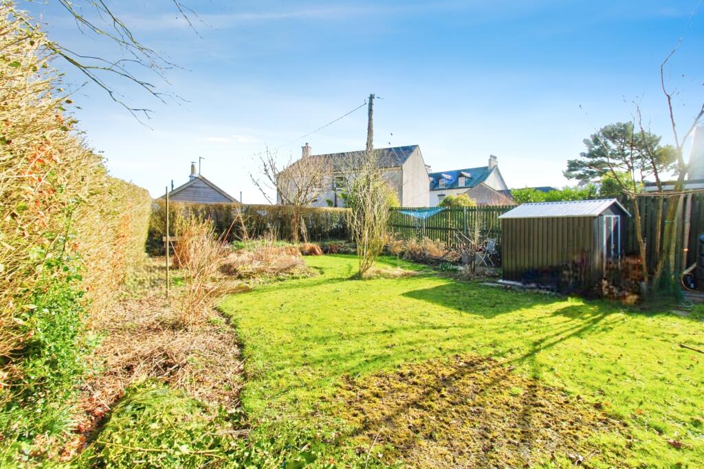 Back garden