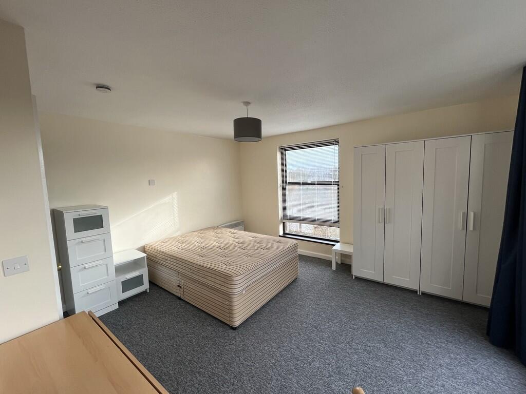 Bedroom/Lounge