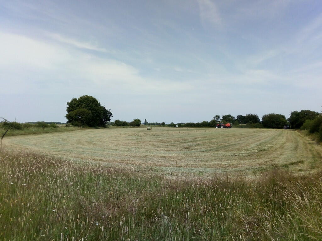 IMG_20250620_1353...