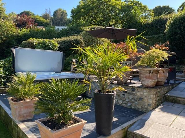 garden photo.jpg