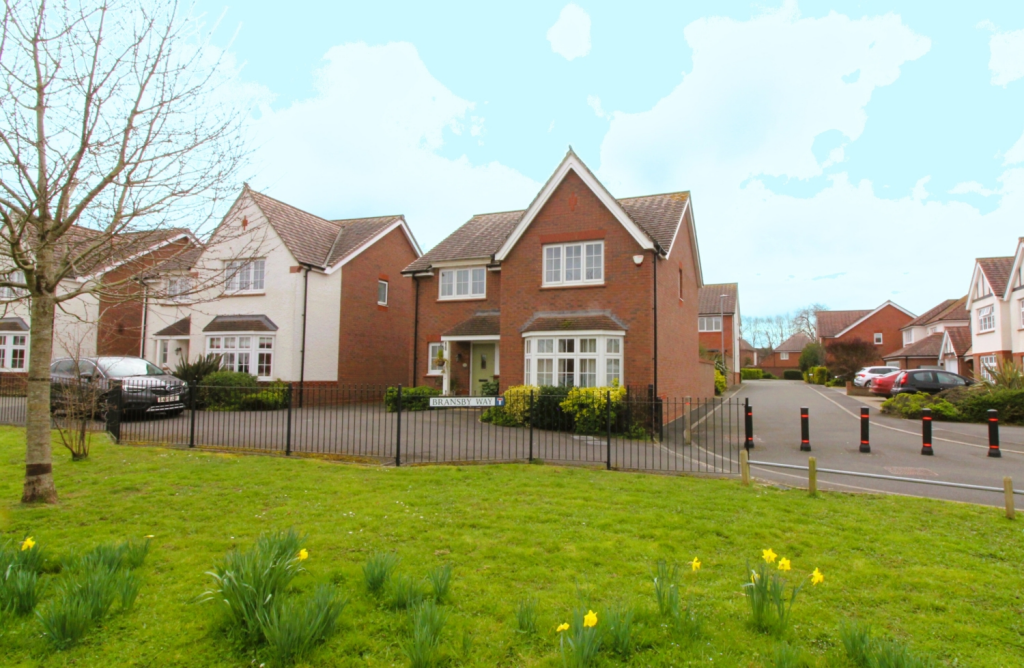 Untitled design (34)