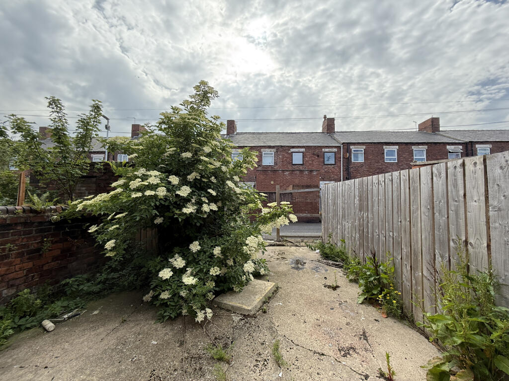 IMG 9087 T202506161241.jpg