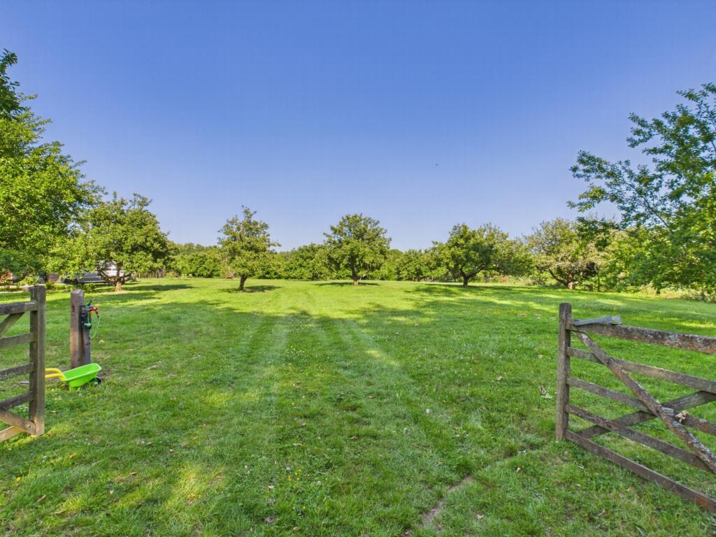 Meadow 2