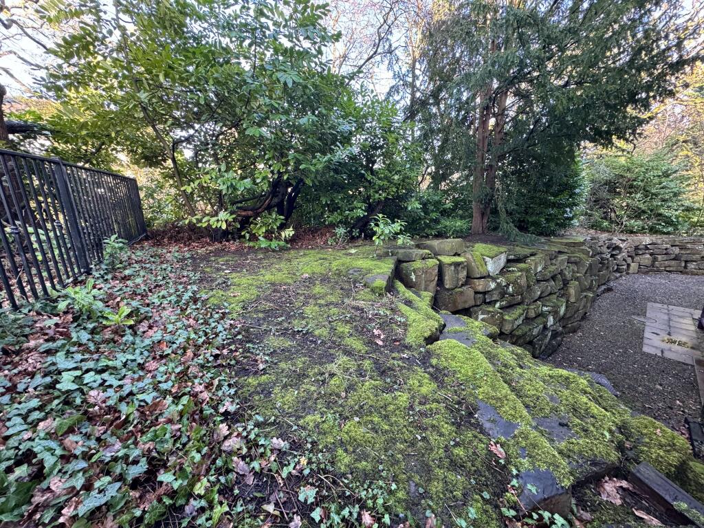 Photograph 15