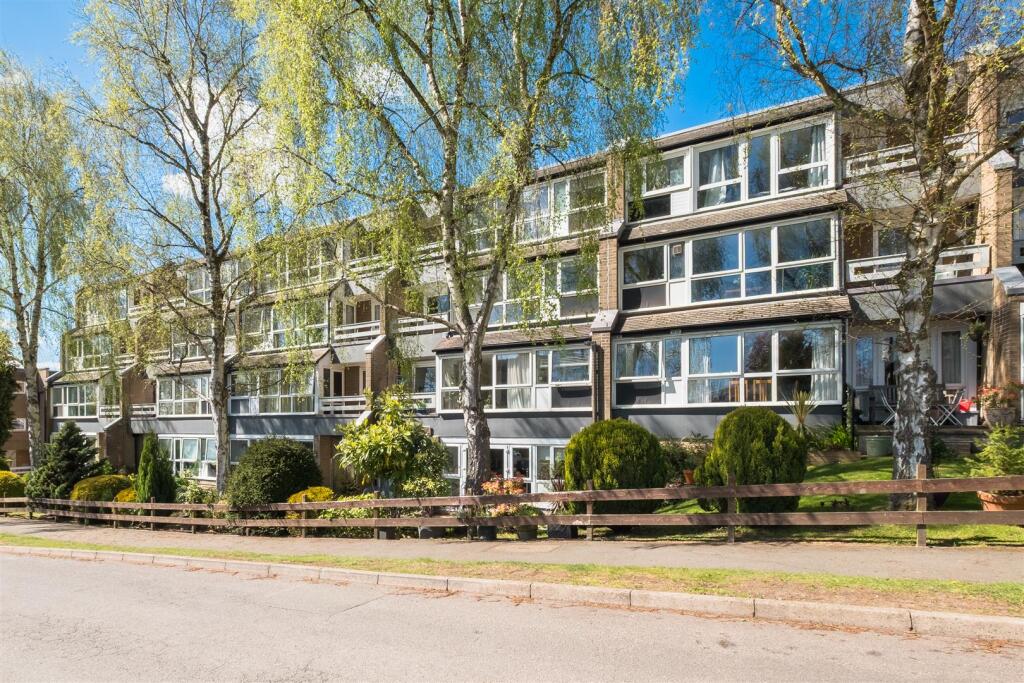 untitled (18 of 22).jpg