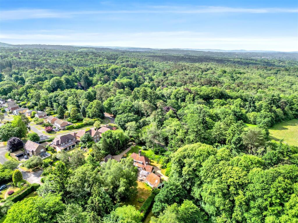 DJI_0521.jpg