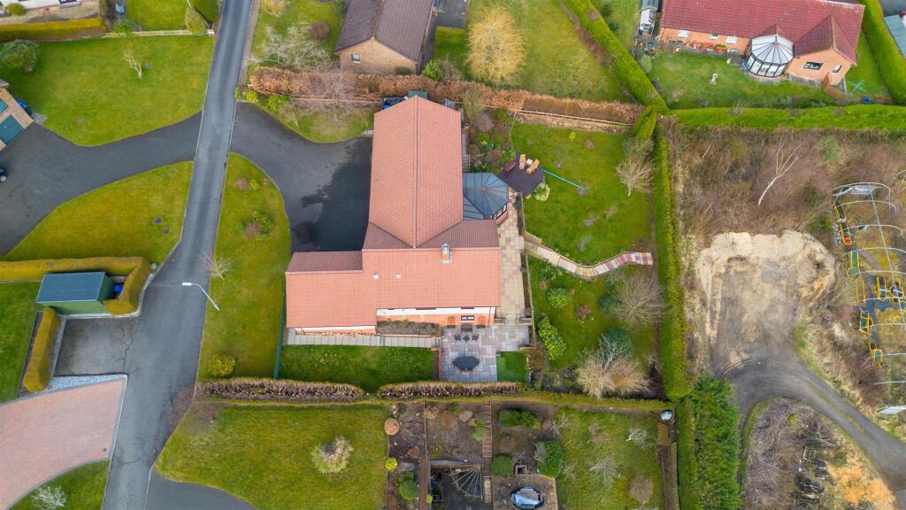 DJI_0406.jpg