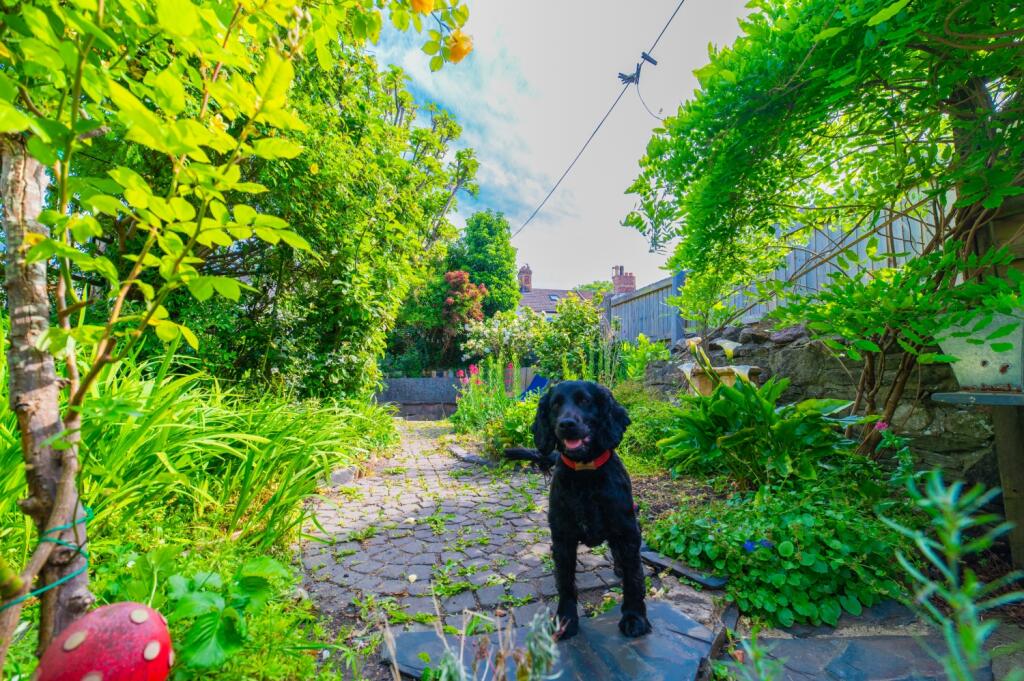 Award-winning Media team on EVERY Listing_17