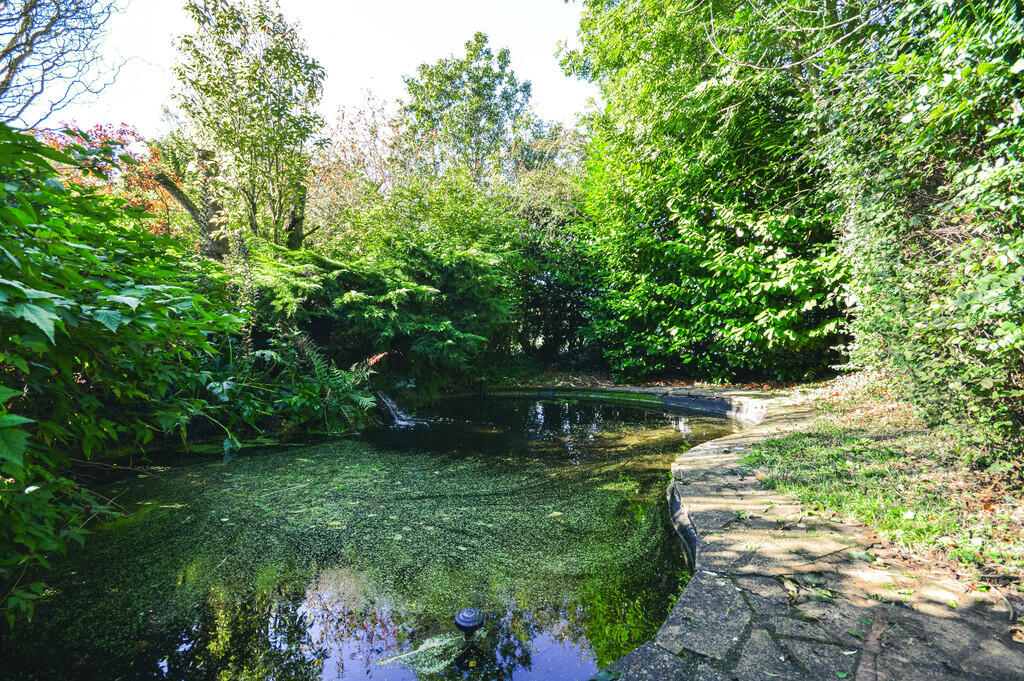 Pond 