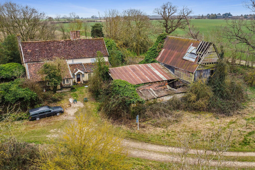 PT-DB(WP)-OakTree...