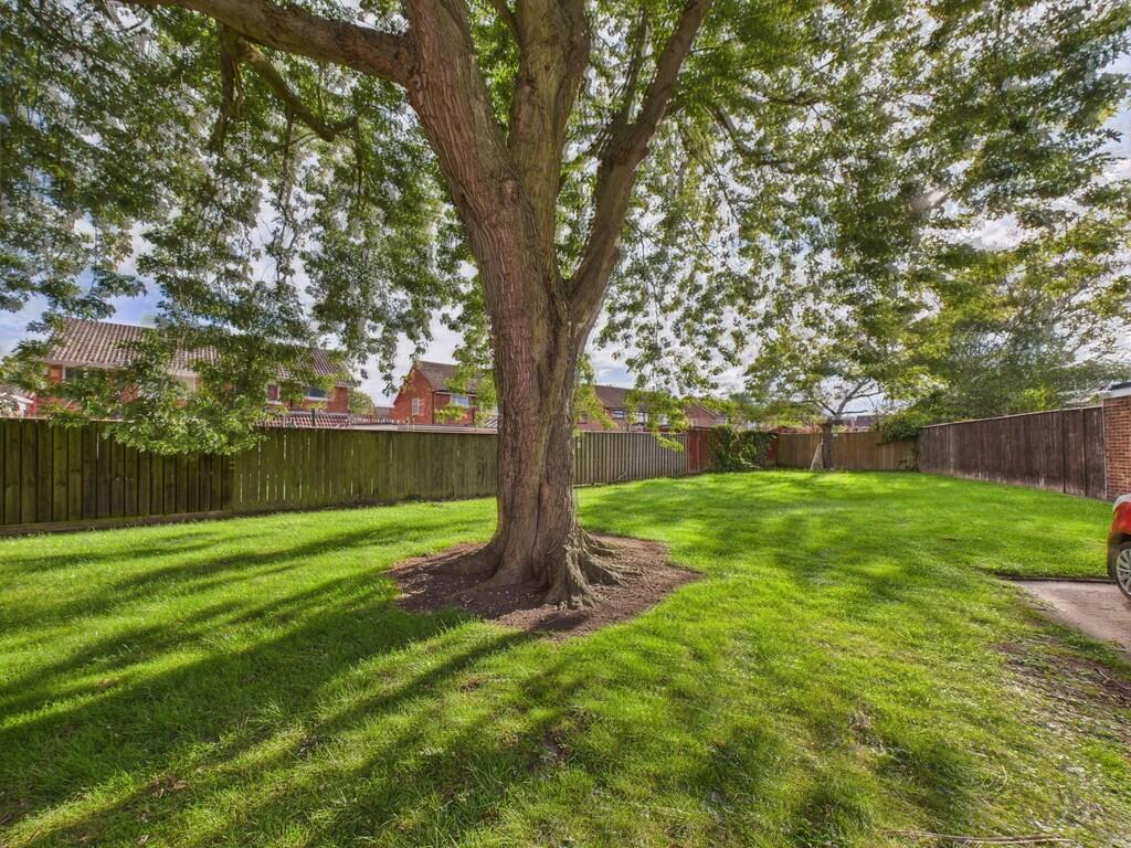 CAM01835G0-PR0264...