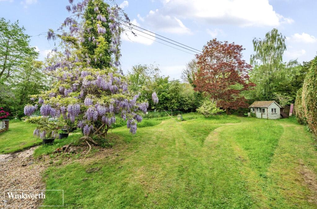 Wild Meadow Garden
