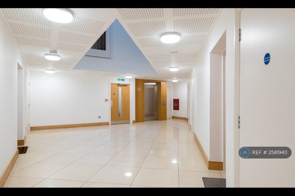 Bright And Airy Hallway With a Ceiling Window