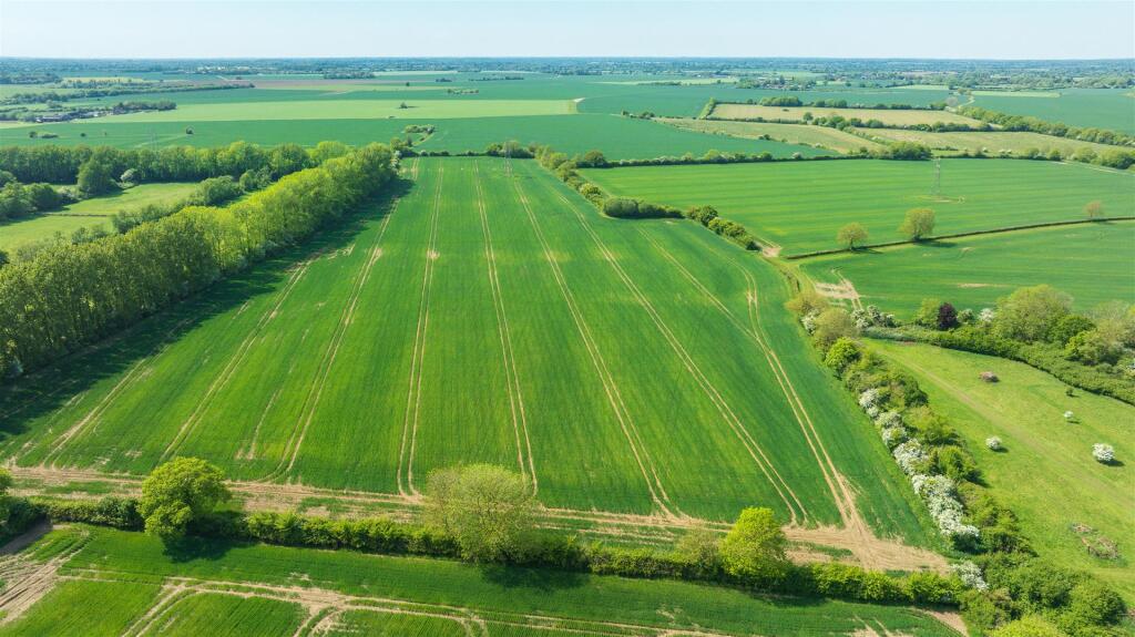 DJI_0271.jpg