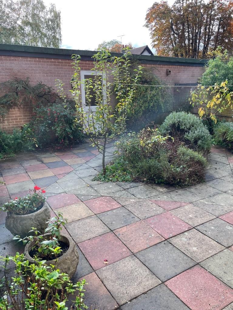 Courtyard Garden