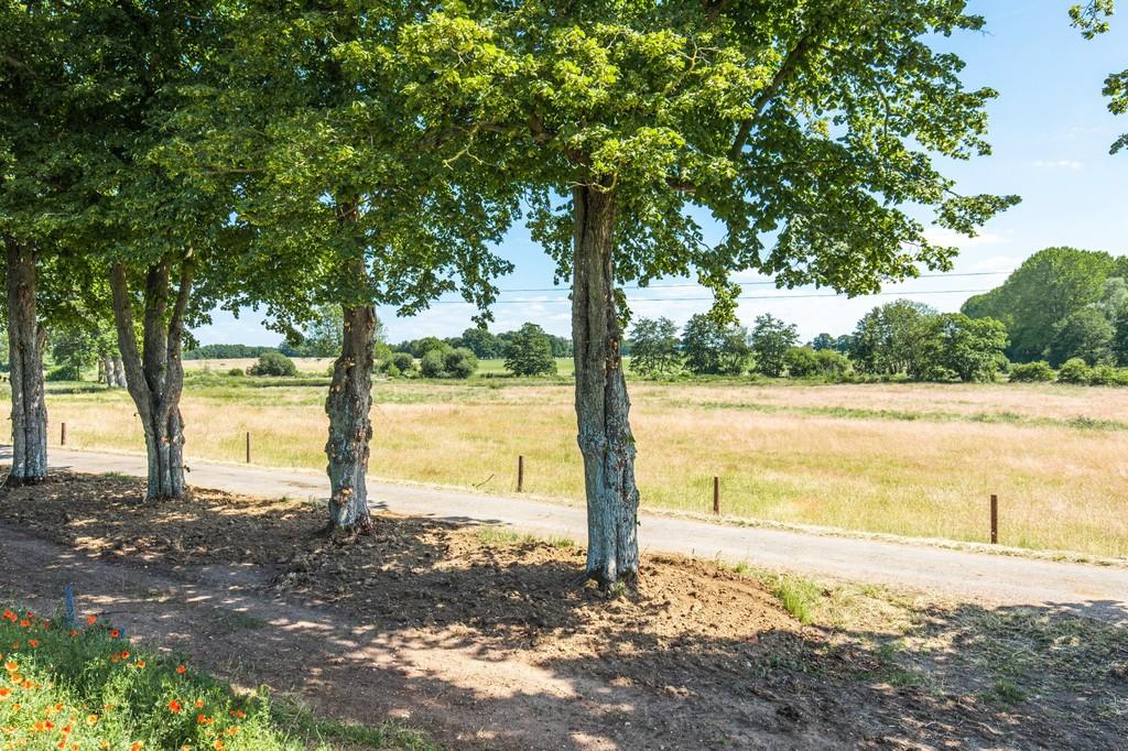 Countryside views