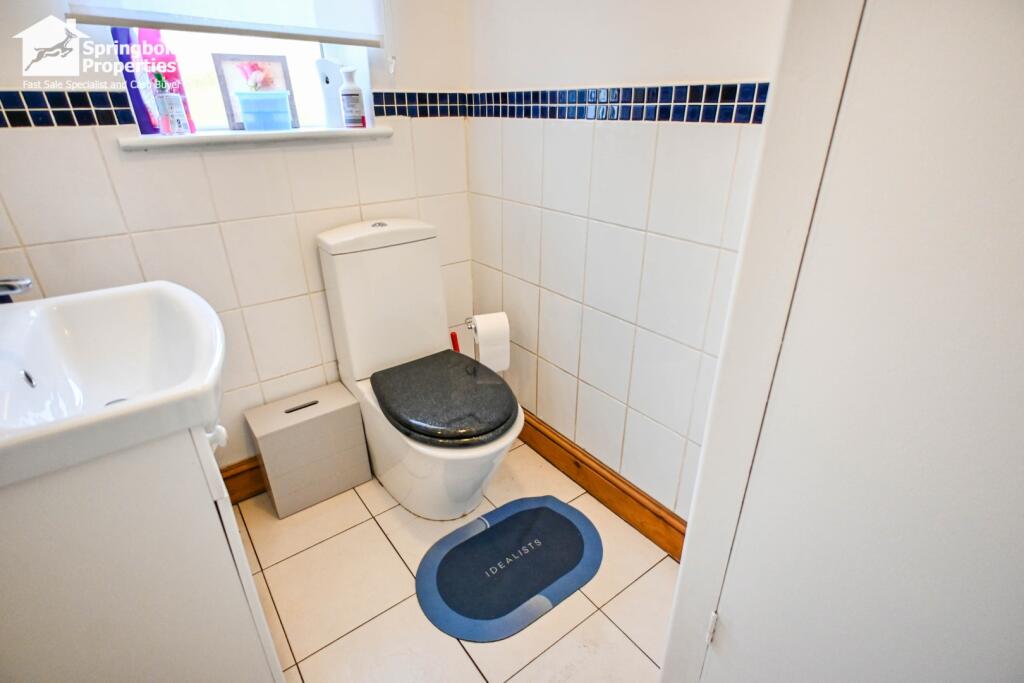 IMAGE 10