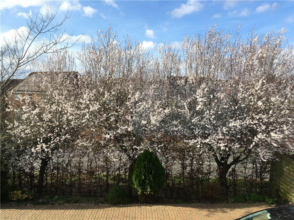 Front in Spring