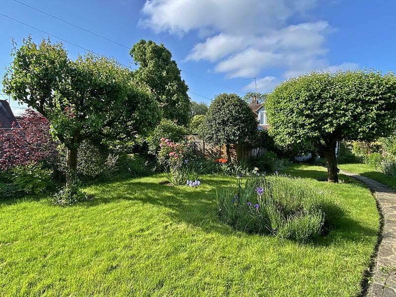 garden2.jpg