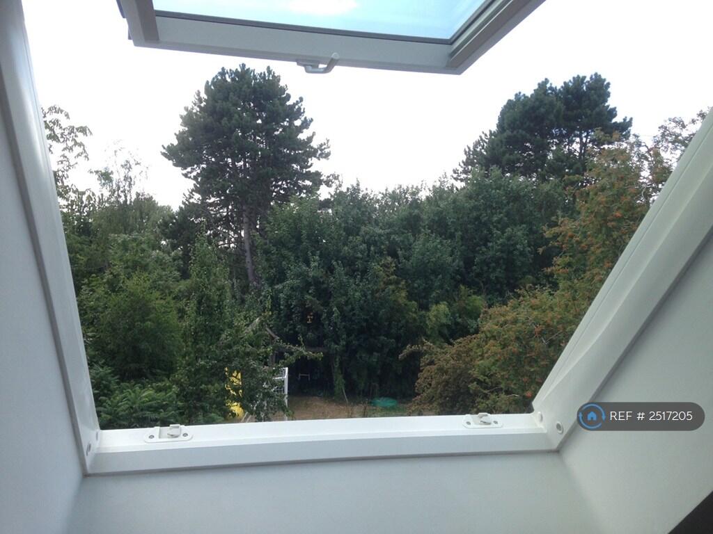 View From The Bedroom