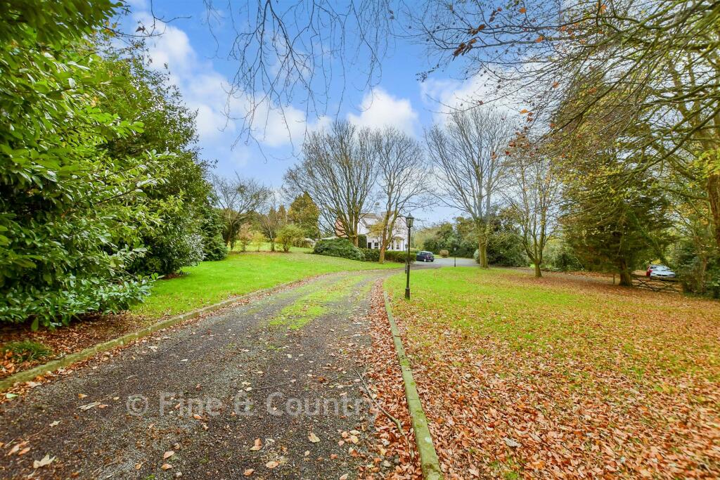 Driveway/Parking