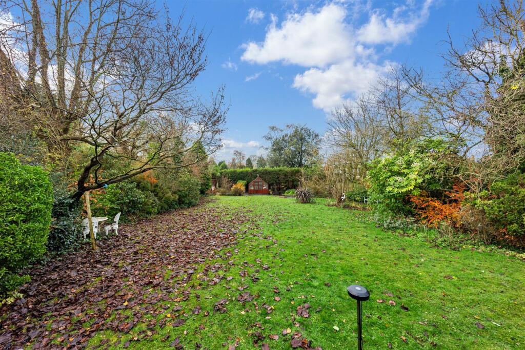 37 Ormskirk Road garden.jpg