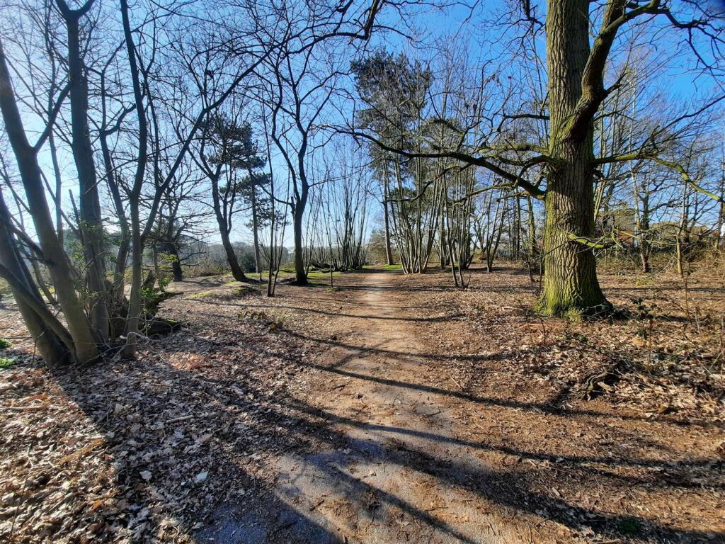 Woodland and Surroundings