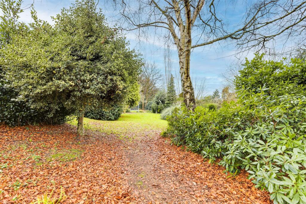 IMG_0291-IMG_0295 copy.jpg