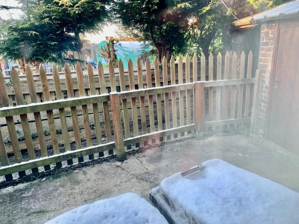 Rear Yard