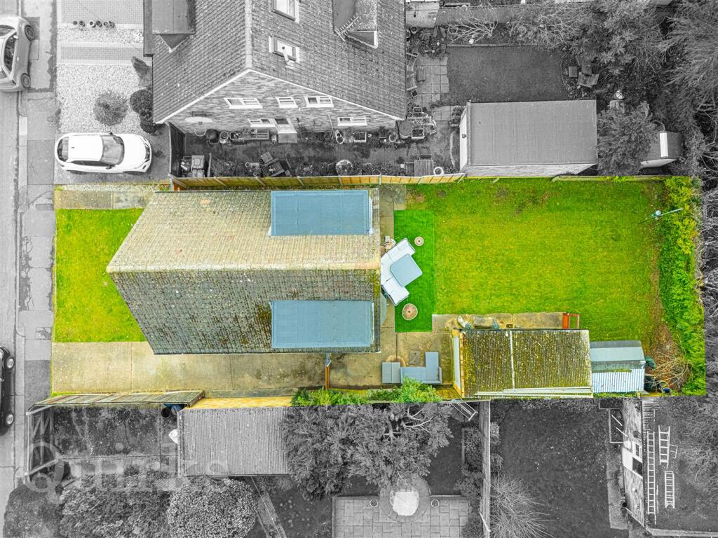 DJI_20250214100755_0417_D copy.jpg