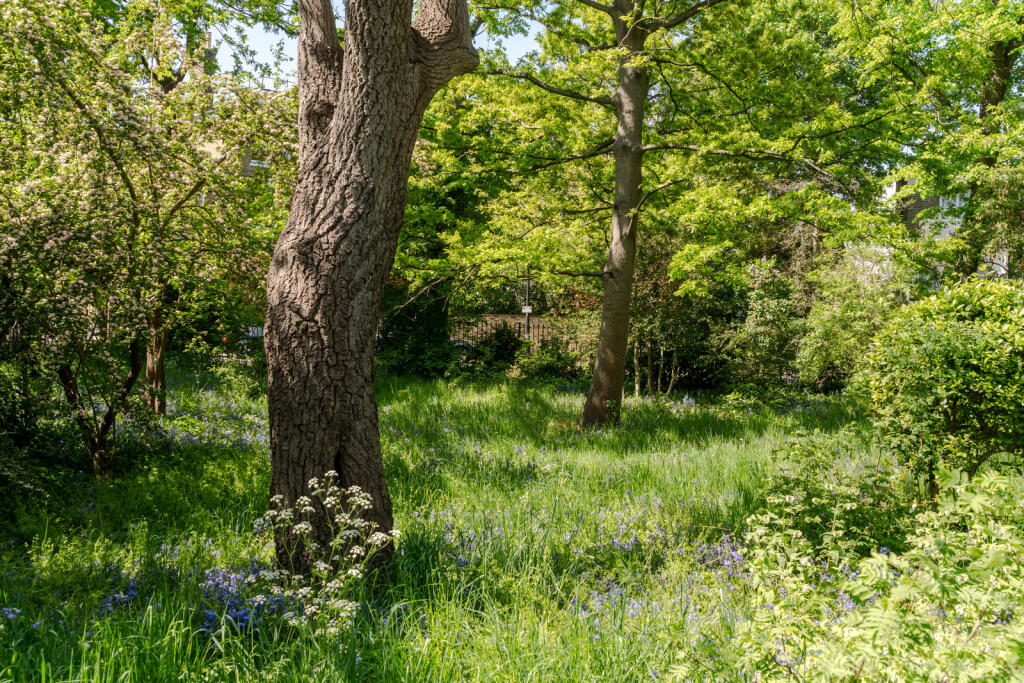 280498 - 35 Durand Garden-72.jpg