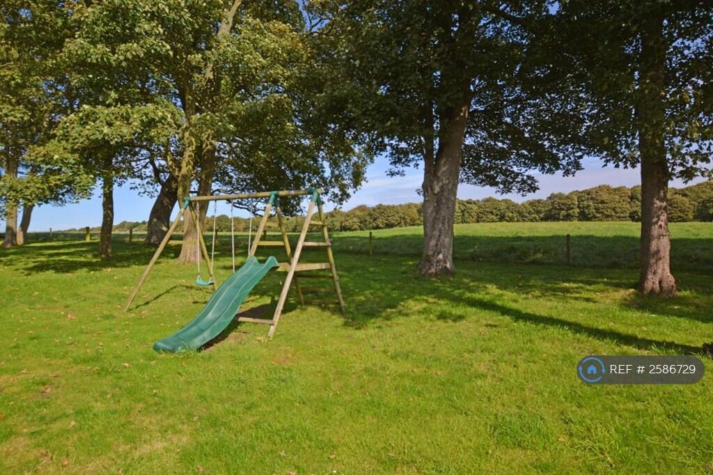 Wooded Area To Rear- Field View
