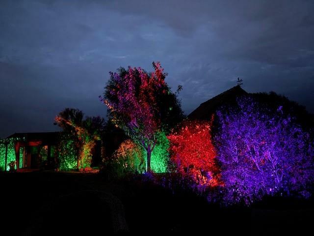 Garden with Night Lights