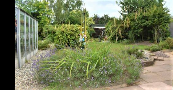 garden.png