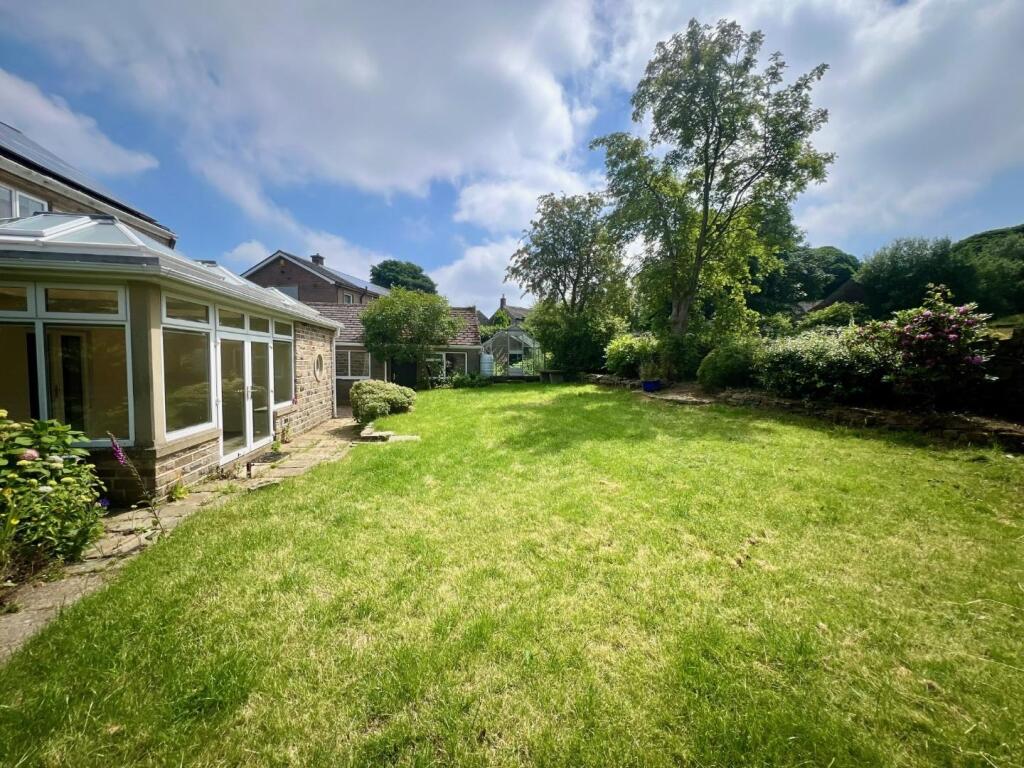 garden 1.jpg