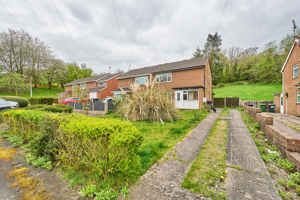 P1456196 T202504141830.jpg