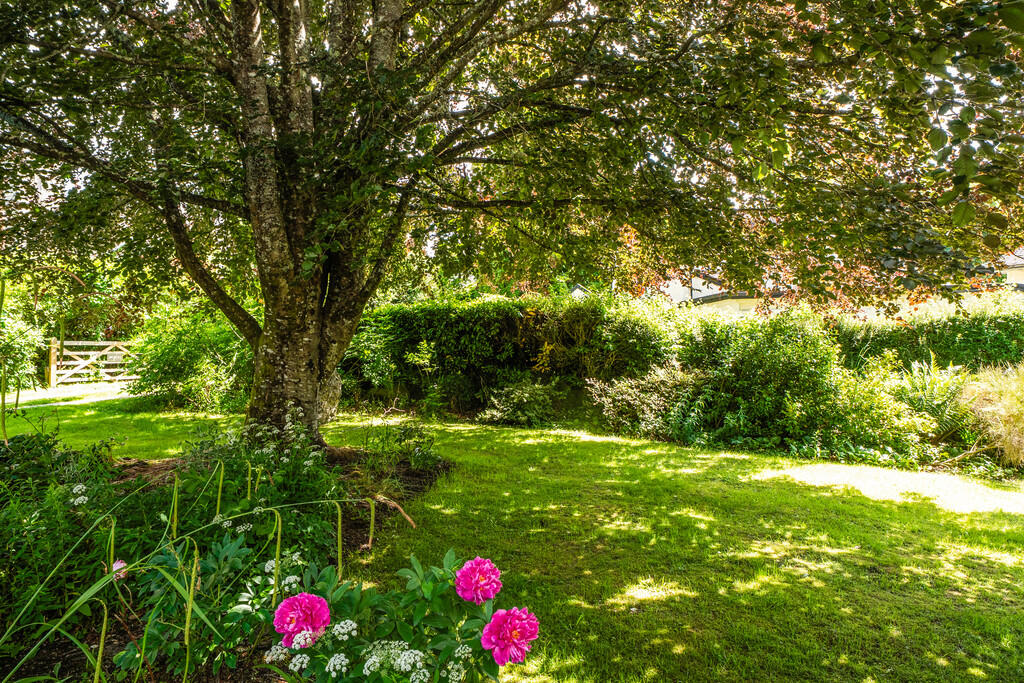 1307303-3-6849a9b...