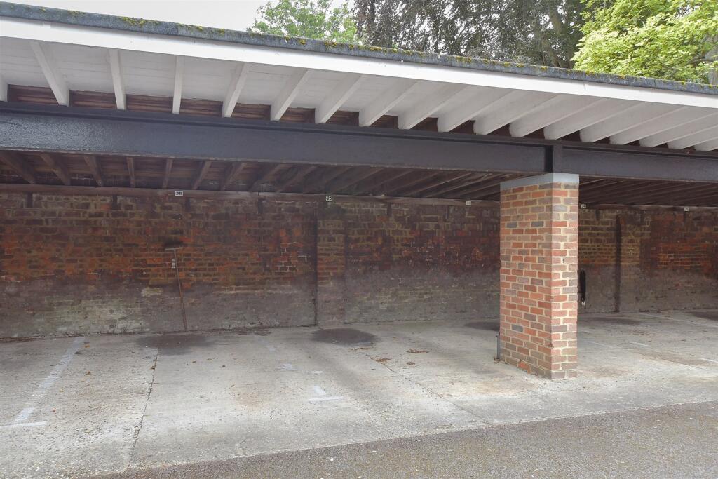 Driveway/Parking