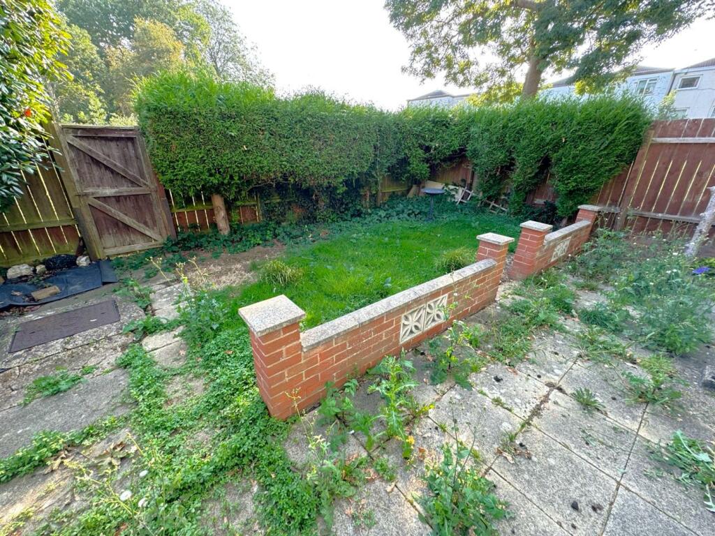 thumbnail_image1 (1).jpg