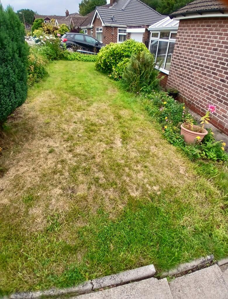 Side garden