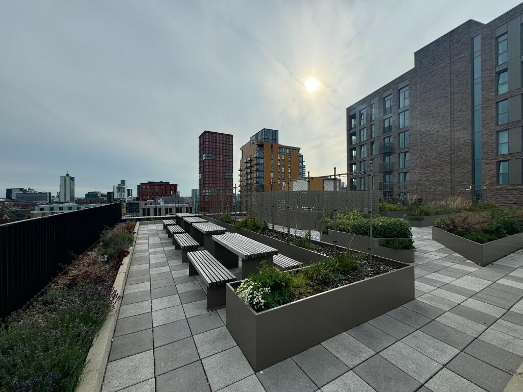 COMMUNAL ROOFTOP 2